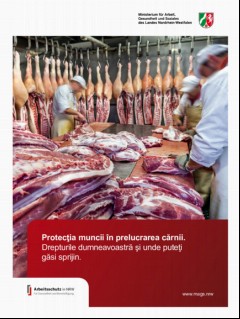 Vorschaubild 1: Arbeitsschutz in der Fleischverarbeitung.
