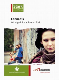 Vorschaubild 1: Cannabis - alle wichtigen Infos auf einen Blick